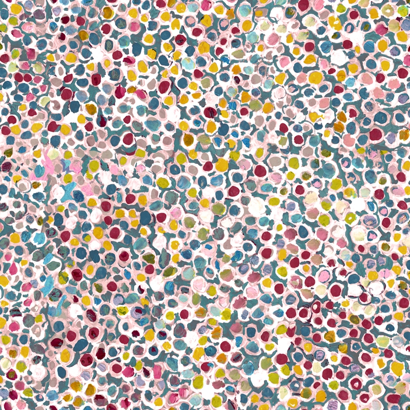 Tissu GALUCHAT poudre